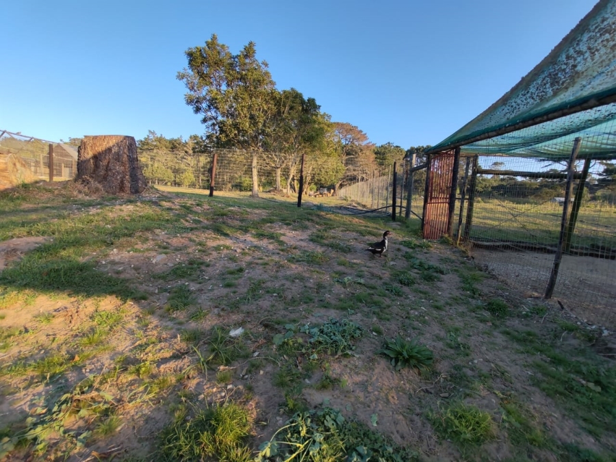 Commercial Property for Sale in Colleen Glen Eastern Cape